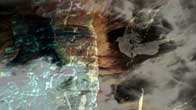 europe online tv fine artwork gallery, top art galleries in London, Paris, Rome, Athens and Geneva.