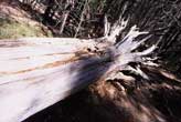 europe_online_tv_fine_art_photography_sedona_sf_7.1_photography_art